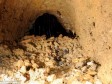 Iz iračkog zatvora tunelom pobjeglo 11 zatvorenika 