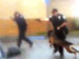Video: Usred bijela dana u muškarca policija ispalila 10 hitaca