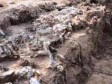 Nastavljeno suđenje Neškoviću za zločine u Srebrenici 