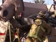 Video: Vozača usisao kamion za odvoz smeća 