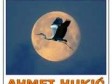 ˝Ptice˝ Ahmeta Hukića