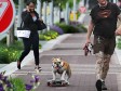 Video: Zbog njegovog talenta za njim se okreće pola Indianapolisa