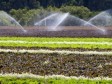 Svjetska banka pomaže: Za projekat razvoja navodnjavanja 40 miliona dolara  