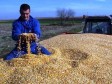 Ljeti najviše rade poljoprivrednici i građevinari 