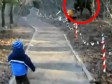 Video: Mališan vidio robotskog dinosaura i pobjegao glavom bez obzira