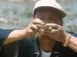 Video/Biste li mogli? Uživao hraneći se sirovom kornjačom 