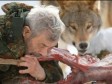 Živi s čoporom 40 godina i vukovi mu jedu iz usta