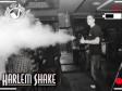 Video: Tuzlake uhvatila ´Harlem Shake groznica` 