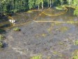 Video: Otrovna rupa se širi i guta drveće