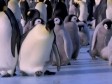 Video: Urnebesna kombinacija koja će vam uljepšati dan