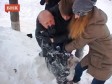 Video: Ruski neonacista pred TV kamerama pretukao gay aktivistu