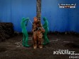 Video: Emitirali seriju, a zaboravili dodati specijalne efekte