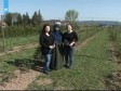 Hani, Jasmini i Azri isplatio se trud 