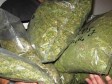 Bh. državljanin na granici uhvaćen sa 10,5 kg droge